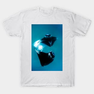 Manta rays feeding (C007/2162) T-Shirt